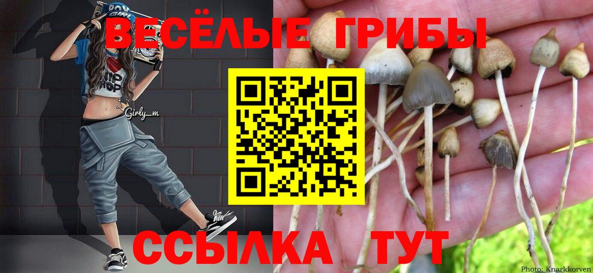 Галлюциногенные грибы прущие грибы Сланцы