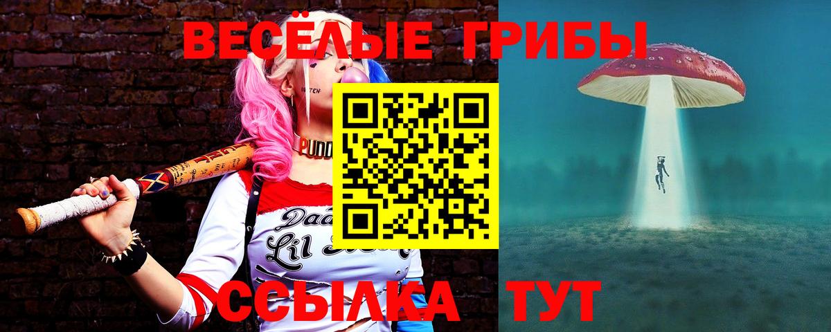 Псилоцибиновые грибы Psilocybe  Псилоцибиновые грибы прущие грибы  Сланцы  Вход с VPN 